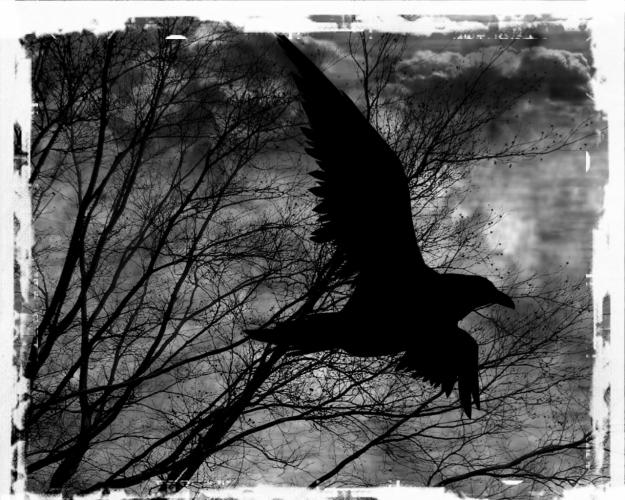 The three black crows poem summary